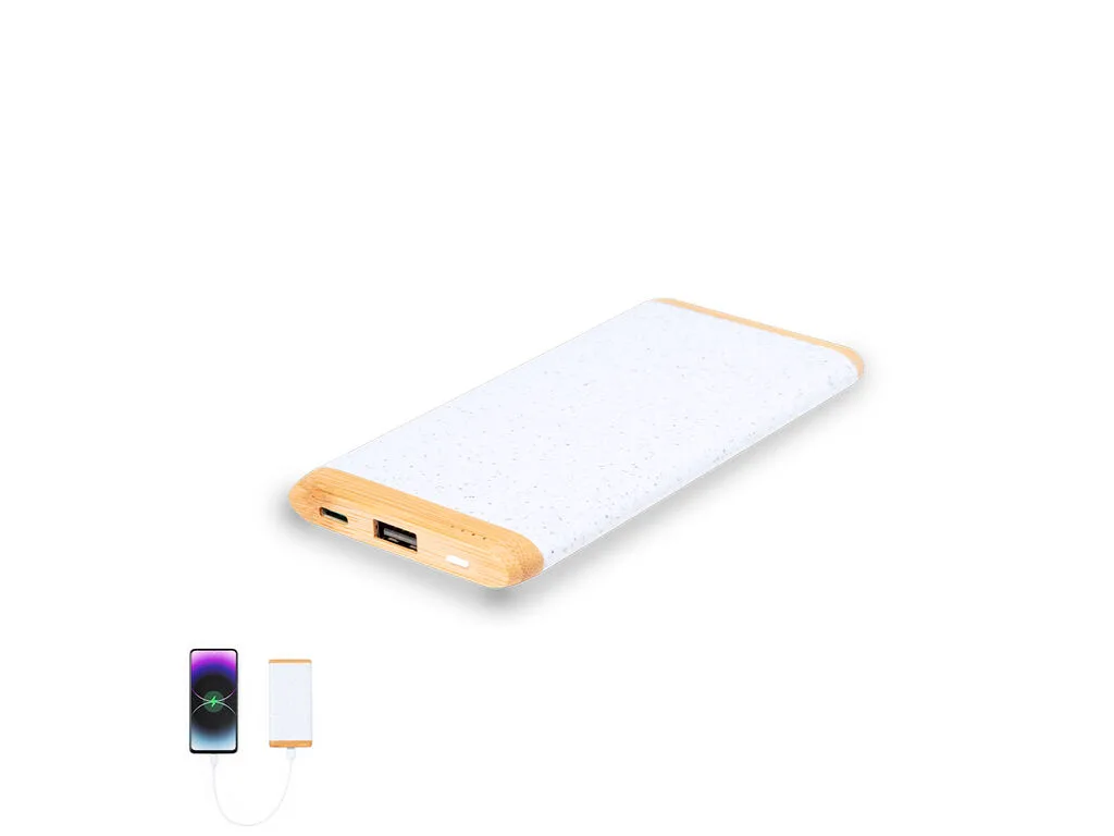 Coquin — Power Bank